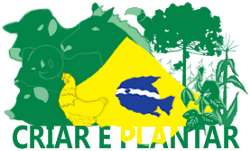 Criar e Plantar